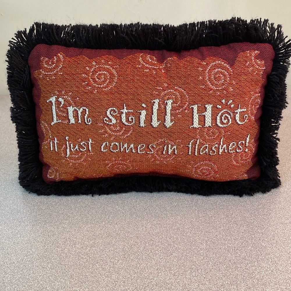 Accent pillow - ( I’m still hot it just comes in flashes )